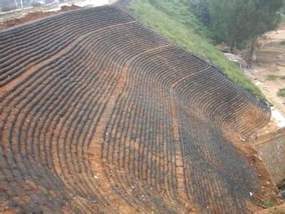 畢節(jié)滌綸土工格柵的應(yīng)用